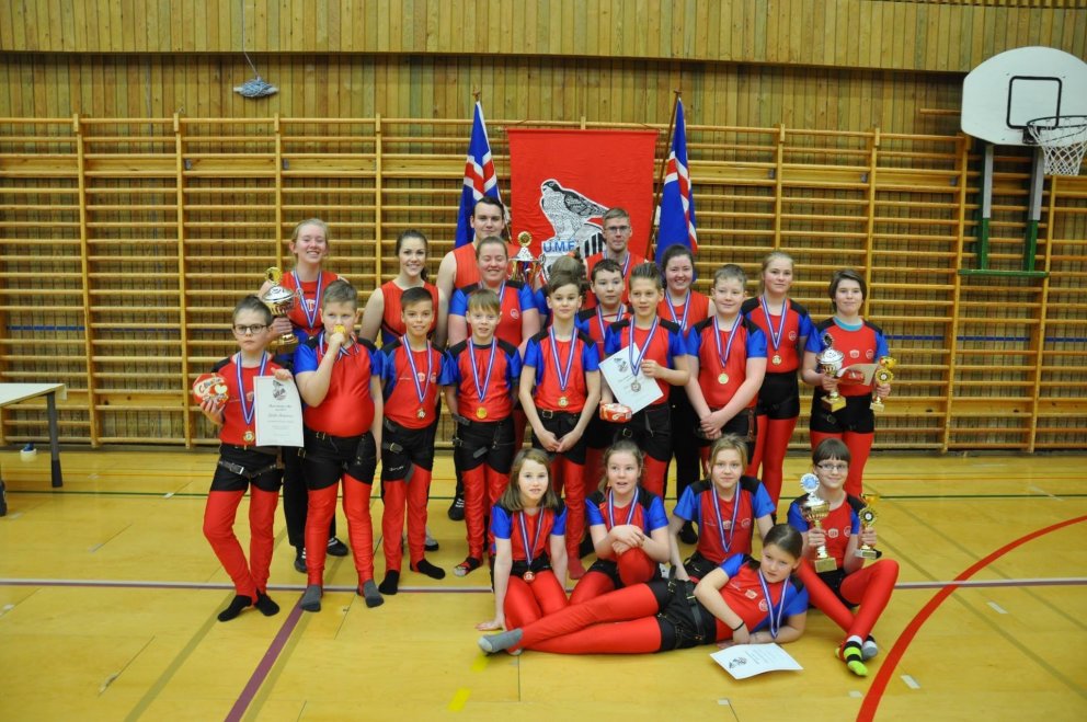 Mynd frá glímukeppni 2015 en þarna má sjá nokkra af glímuköppnum sem náðu góðum árangri í keppninni &hellip;