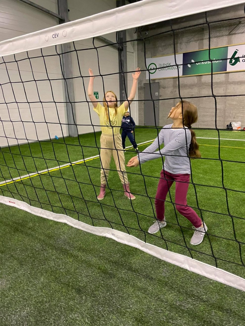 Skólablak í höllinni