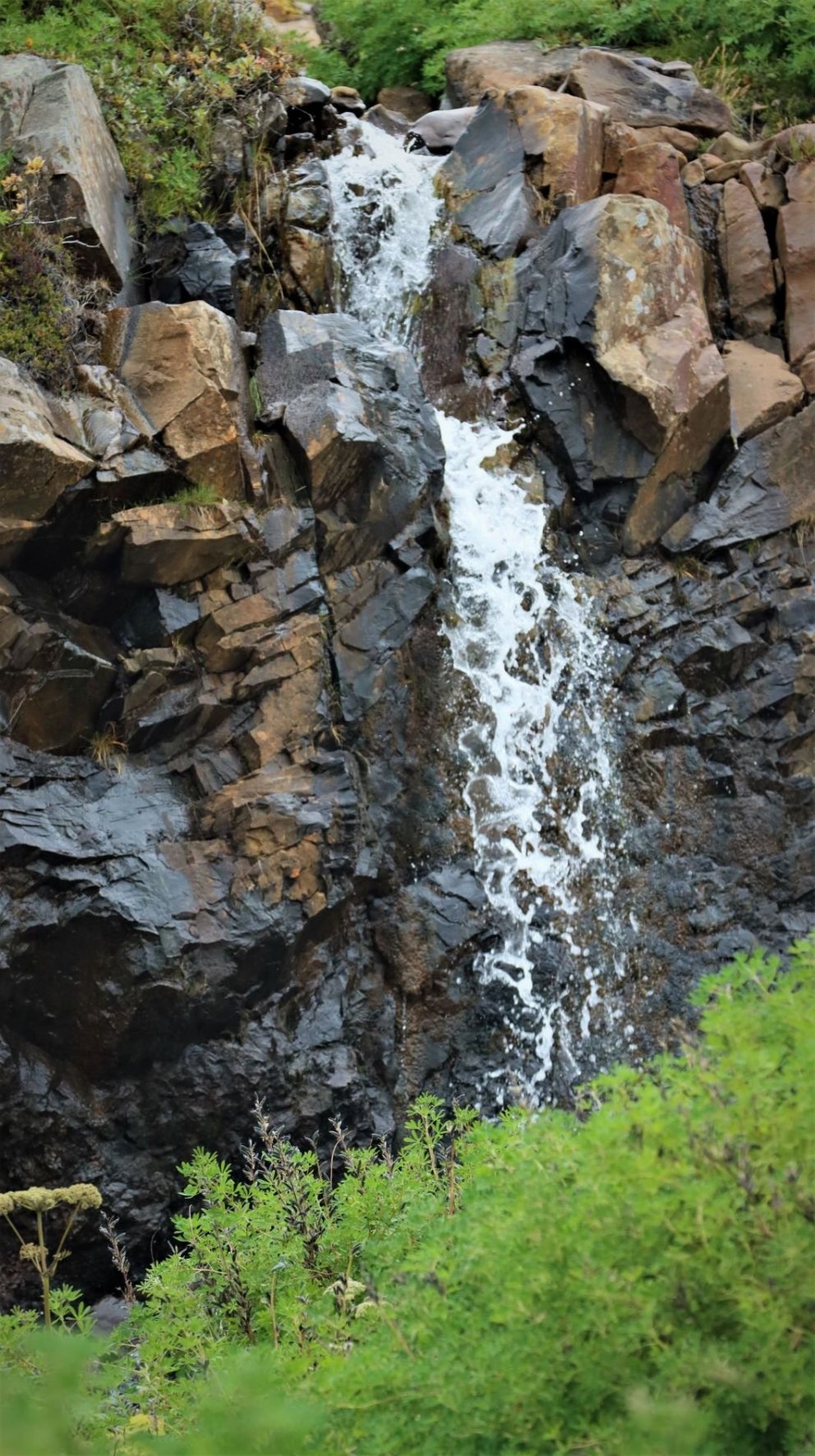 Skólastarf næstu viku