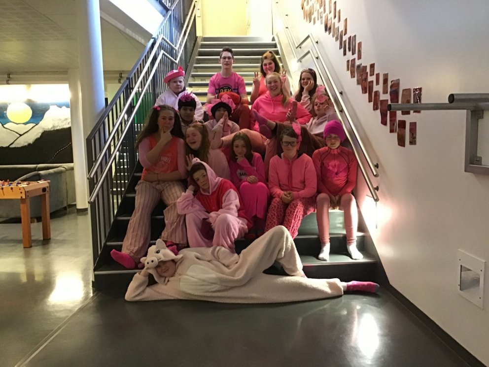 8. bekkur bleikasti bekkurinn