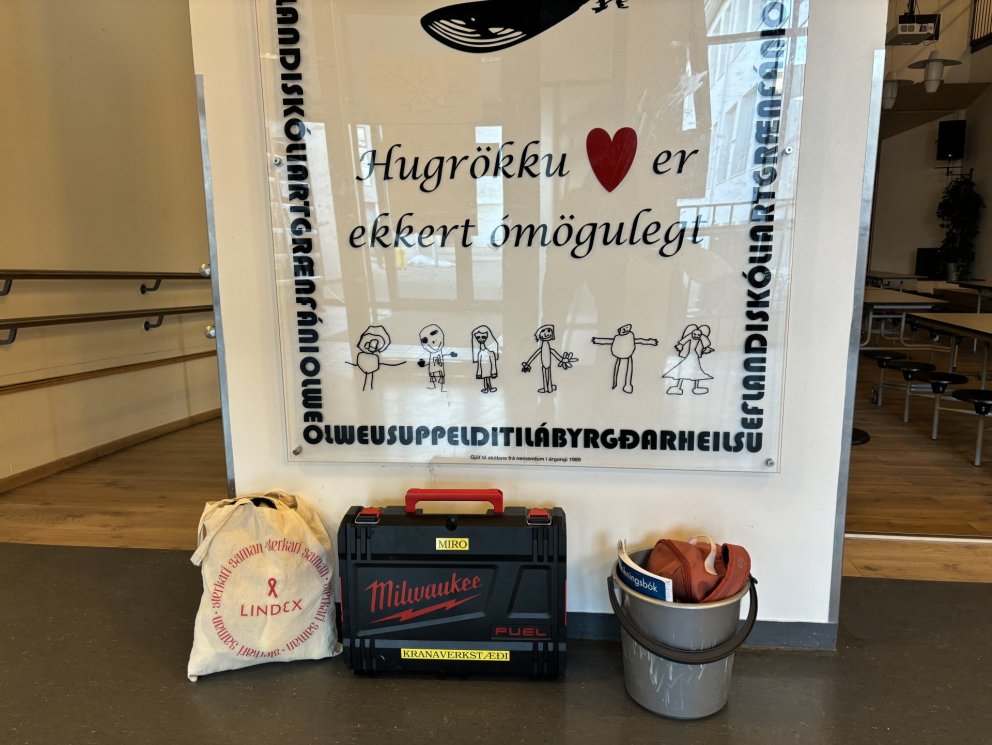 Fjölbreytt úrval íláta undir skóladót