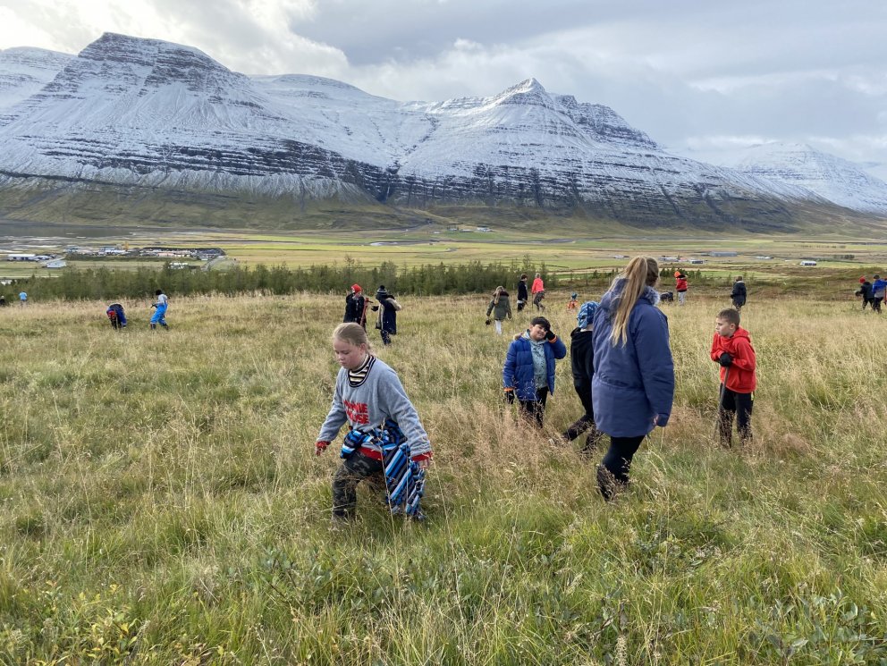 Rúmlega 2000 plöntur gróðursettar