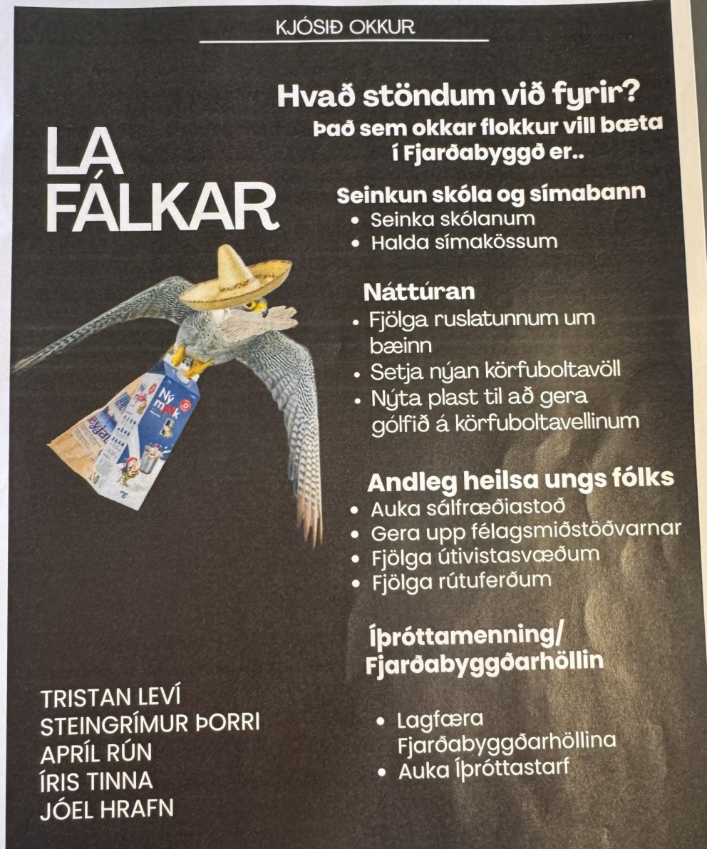 Stjórnmálaverkefni