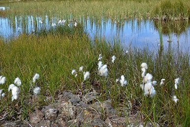 Við verðum að taka okkur á!