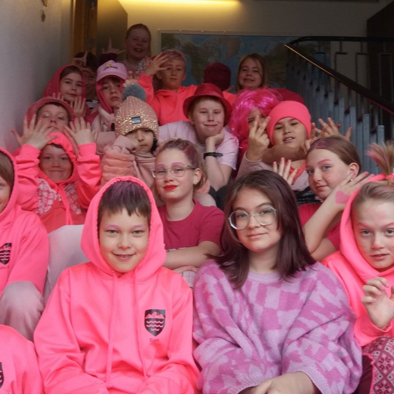 6. bekkur á bleikum degi