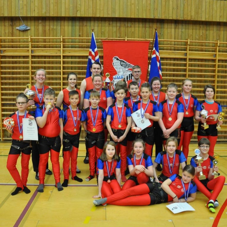 Mynd frá glímukeppni 2015 en þarna má sjá nokkra af glímuköppnum sem náðu góðum árangri í keppninni …