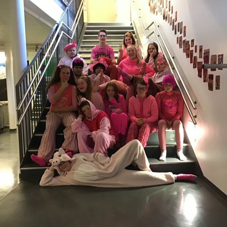 8. bekkur bleikasti bekkurinn