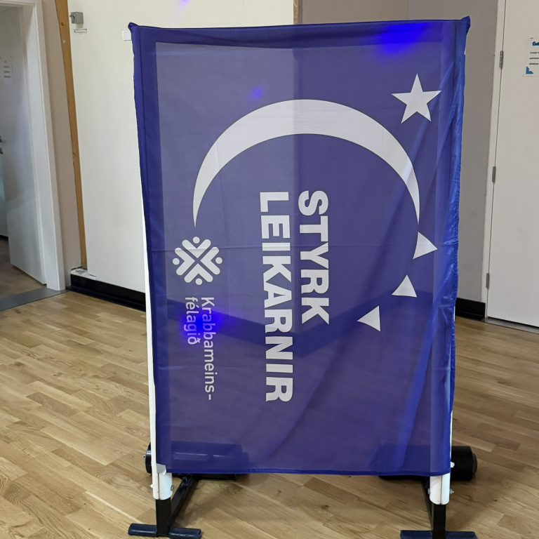 Styrkleikarnir