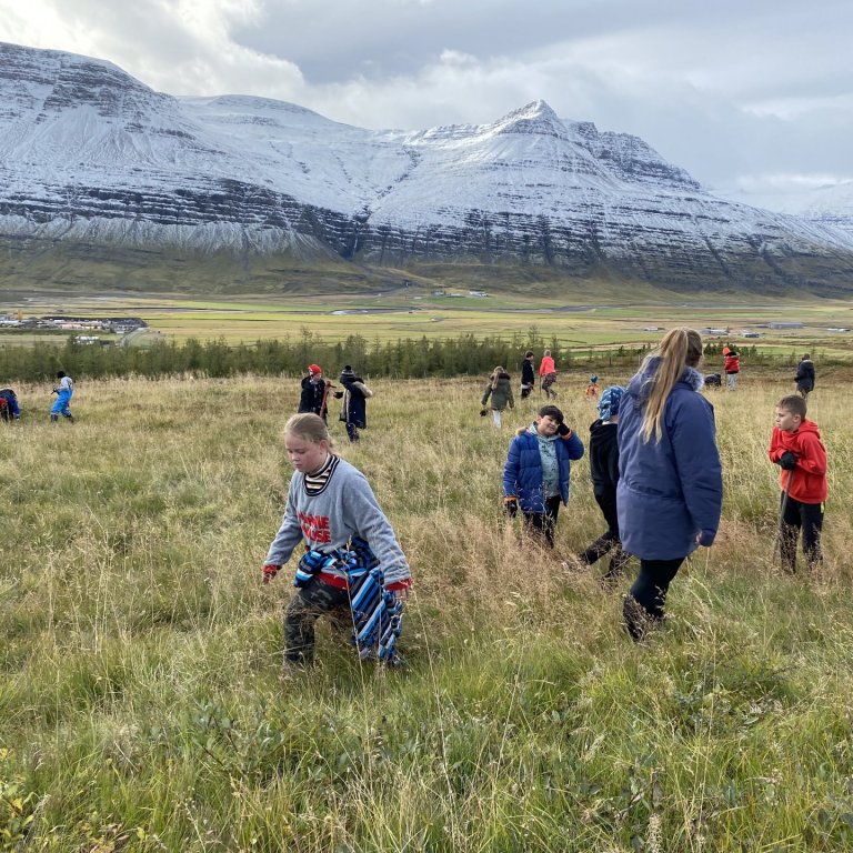 Rúmlega 2000 plöntur gróðursettar
