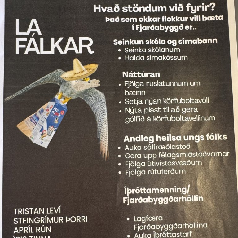 Stjórnmálaverkefni