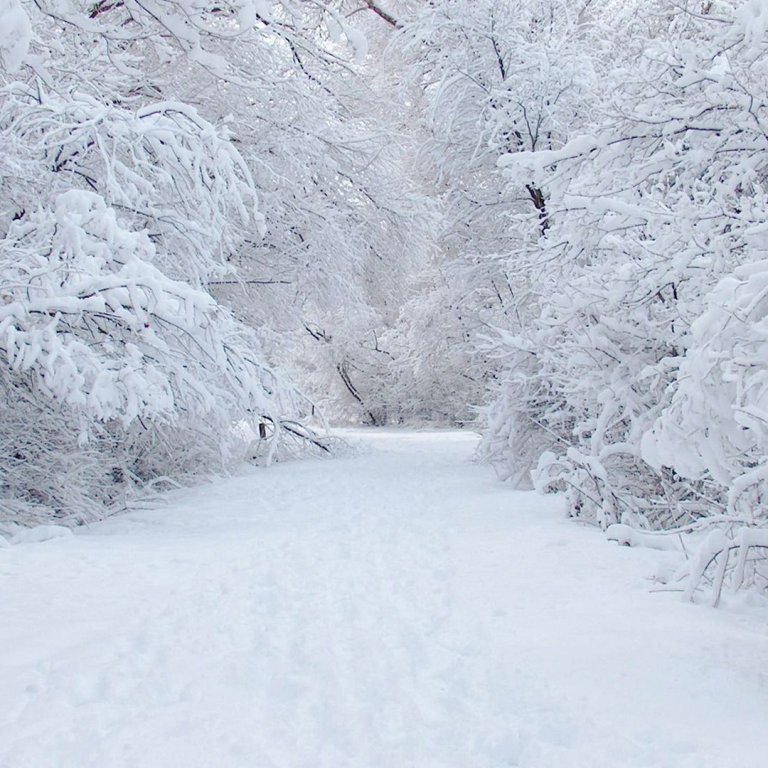 Skólastarf með eðlilegum hætti á morgun