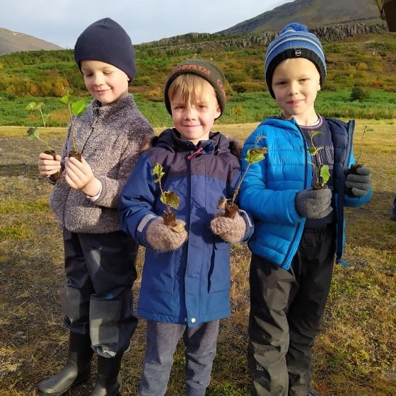 Þóroddur Björn, Hafsteinn Árni og Alexander, nemendur í 1. bekk gróðursettu birkiplöntur í skógarrei…