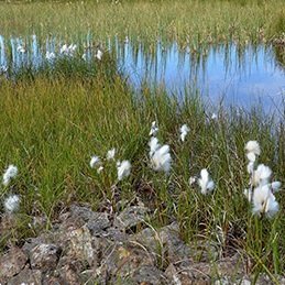 Við verðum að taka okkur á!